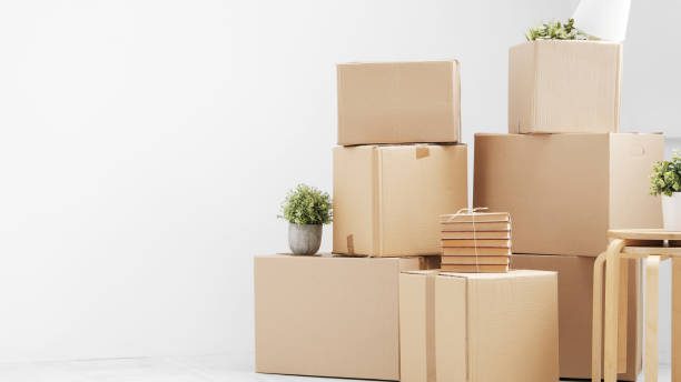 Moving to a new home. Belongings in cardboard boxes, books and green plants in pots stand on the gray floor against the background of a white wall. Concept relocation.